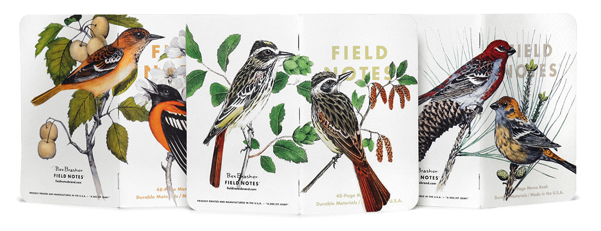 Field Notes Pine Grosbeak, Baltimore Oriole, Sulphurbelly Flycatcher