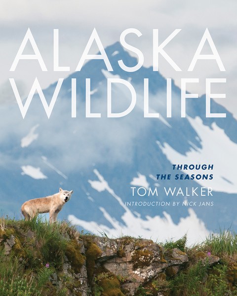 Alaska Wildlife Through The Seasons
