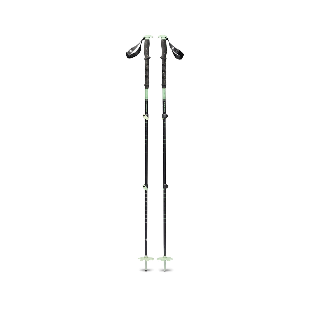 Black Diamond EXPEDITION 3 SKI POLES Color: 3057-Desert Sage, Size: 140