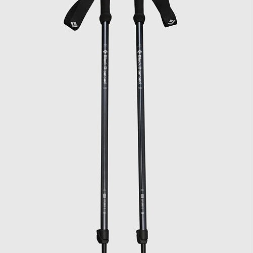 Black Diamond EXPLORER 2 Trekking Poles
